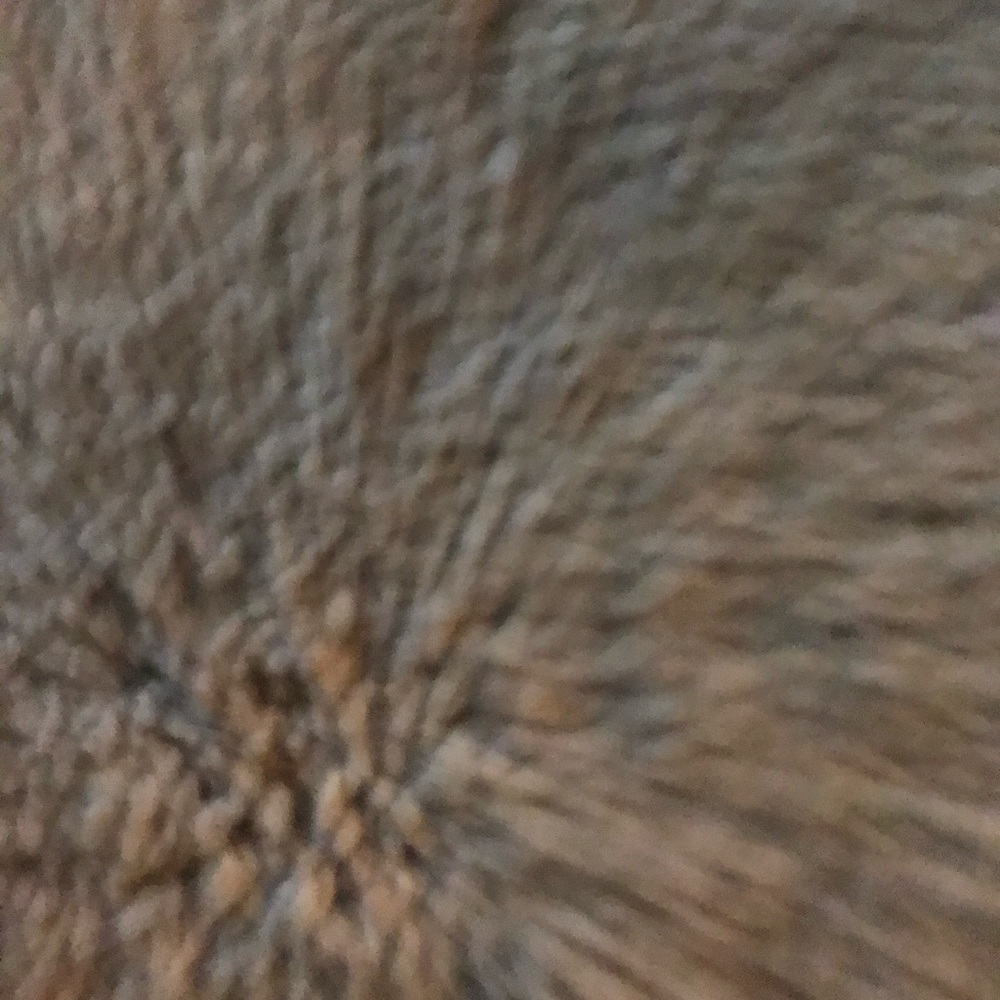 Meet your Posher, Lucas